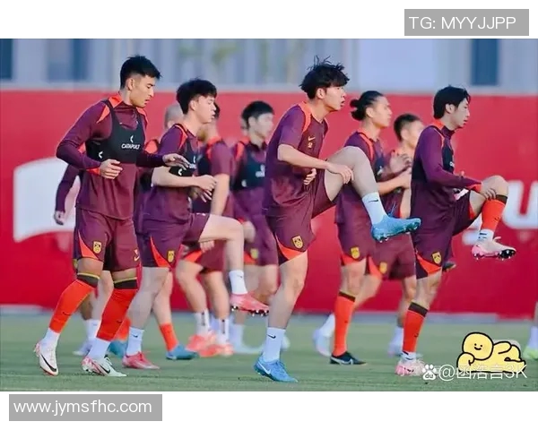 传奇球星与国足球星的区别：成就、影响力与球场表现的全面对比